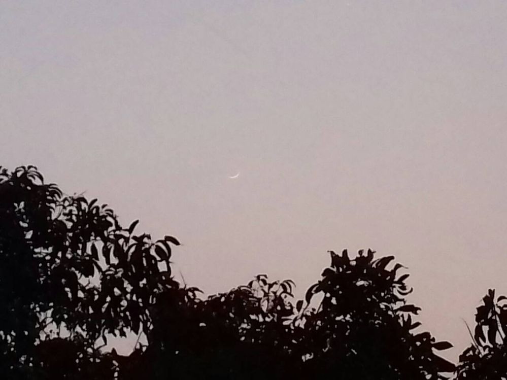 The sight of the crescent from our terrace. My brother shared the picture with me from Dhaka