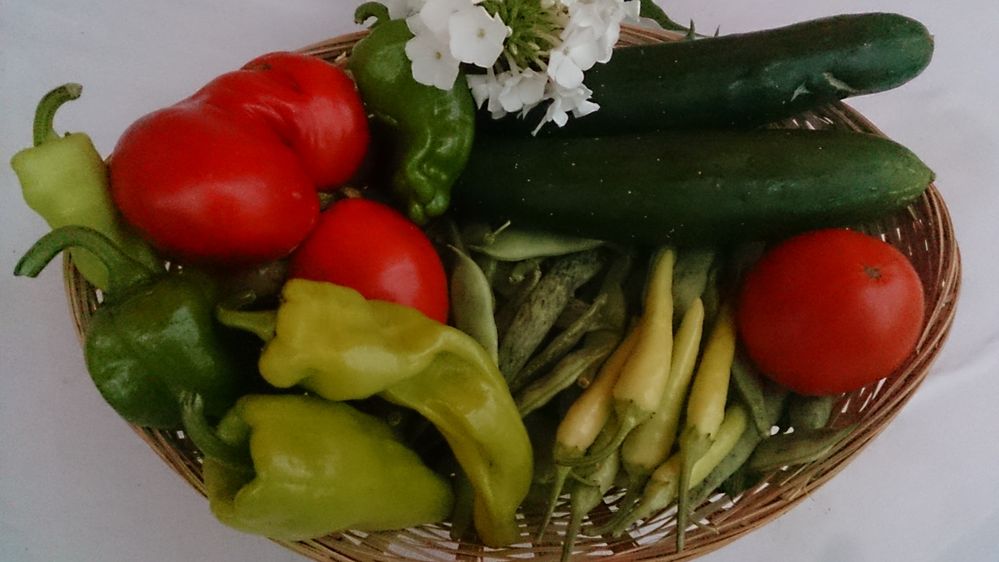 Healthy Bulgarian vegetables