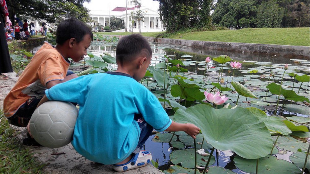 Reza dan Renzo di Taman Kolam Teratai Kebun Raya Bogor