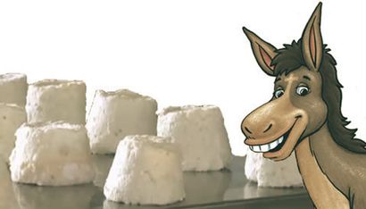 Donkey cheese