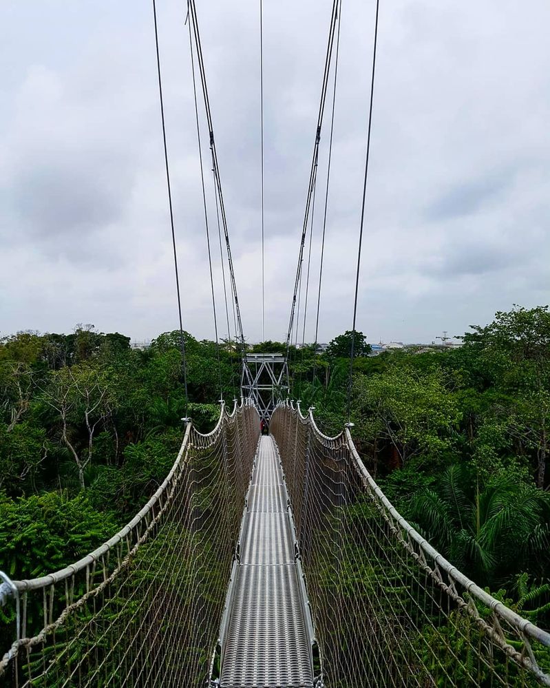 View from the top of the longest canopy walkway in Africa yet.