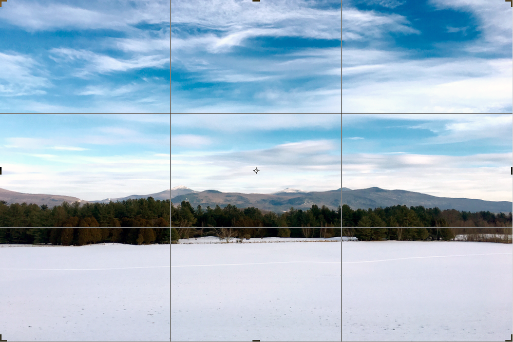 Caption: A photo of a snowy landscape with trees in Vermont, with a grid overlay. (Christina Domingues)