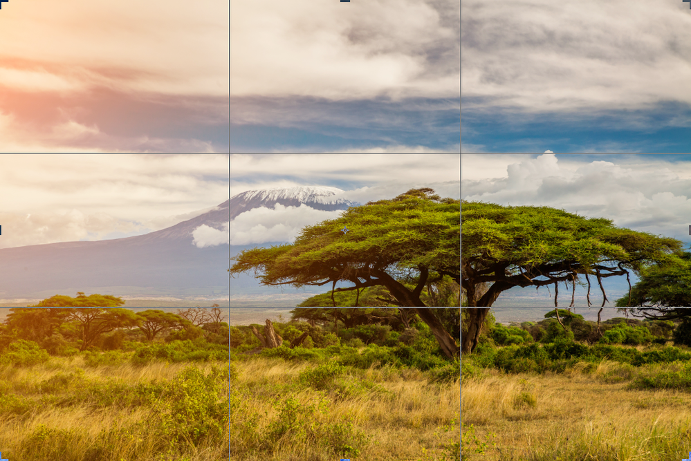 Caption: A photo of trees and Mount Kilimanjaro in Amboseli, Kenya, with a grid overlay. (Getty Images)