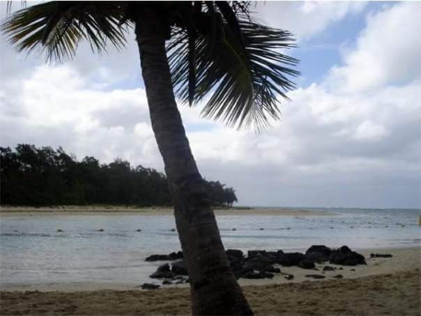 White sand beach of Mauritius