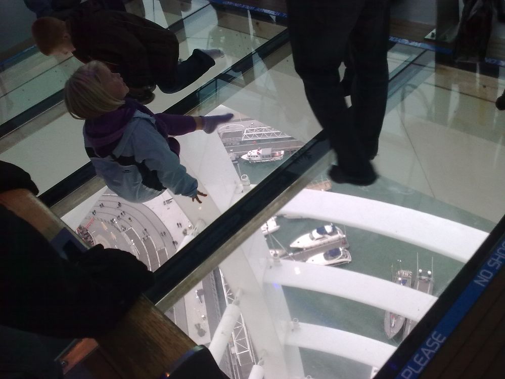Children enjoy the glass flooring on the top deck looking down at the water from high above, but some adults are too scared to step on it!;)