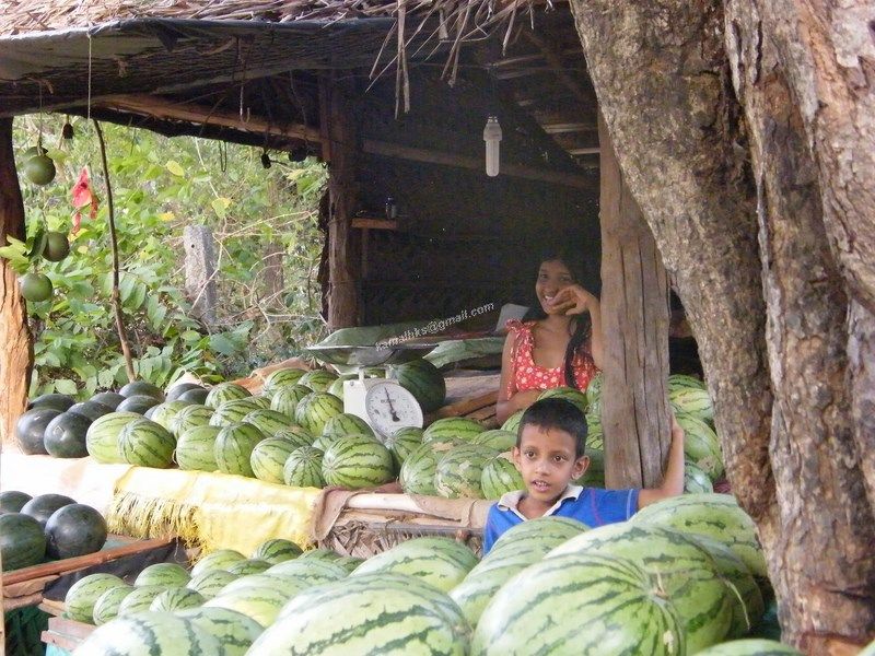 water melon hut