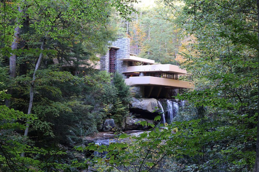 Caption: A photo of Fallingwater captured from behind trees. (Local Guide Rie Yamakawa)