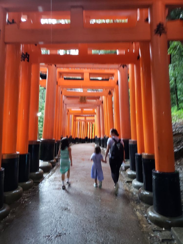 Walking through 10,000 gates at the Fushimi Inari Shrine