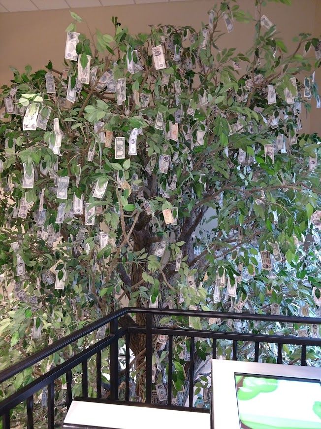 Who says money doesn't grow on trees?