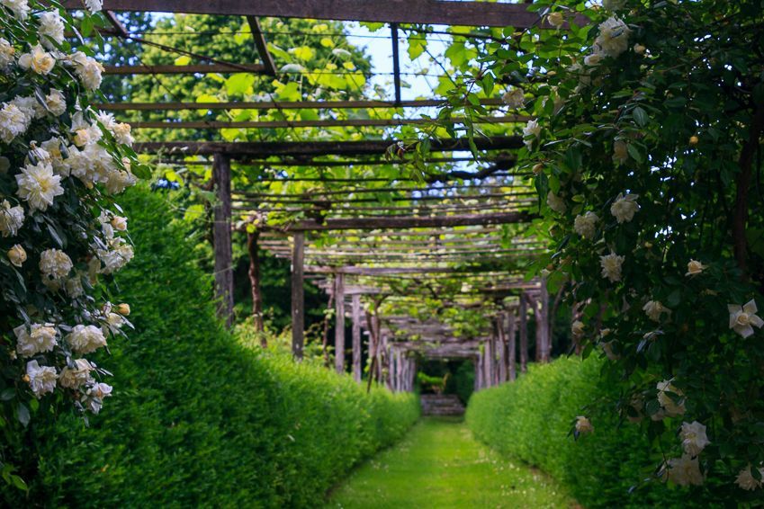 Caption: A photo of a garden filled with greenery at the Pazo de Oca in Spain. (Local Guide @Billie_Tijuana)