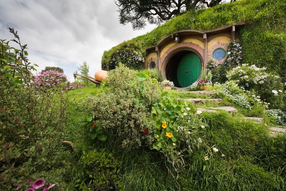 Caption: A photo of the home featured in the film “The Hobbit,” which is built into the side of a grassy hill and features a green circular door. (Local Guide Przemek Szuba)