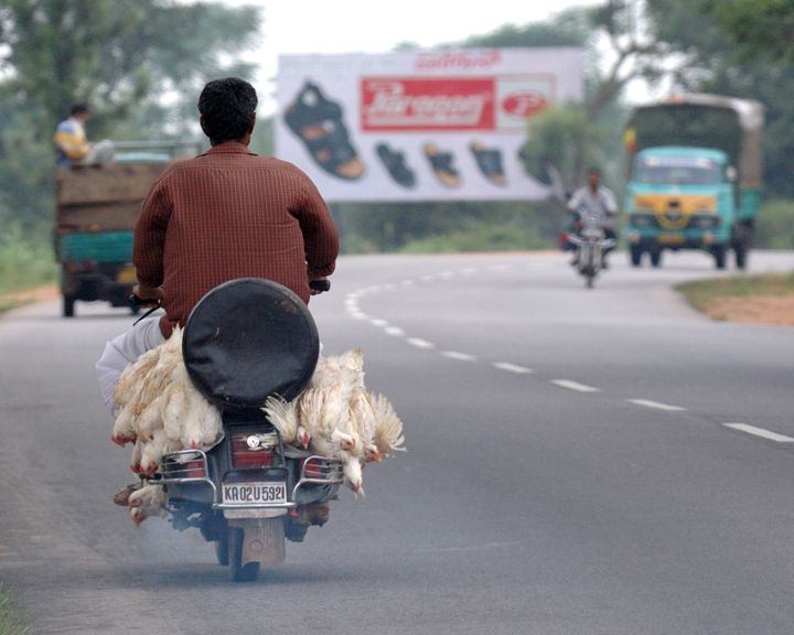 Bangalore India - On the way to market.