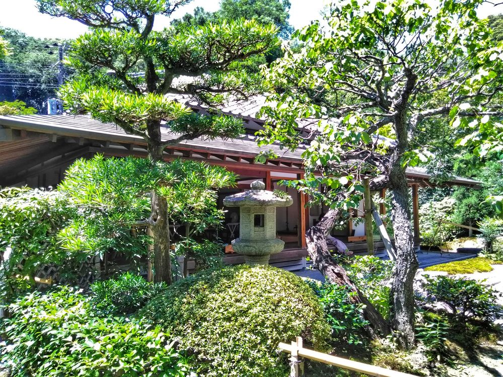浄明寺茶室　繁忙期前の枝打ち作業中で水琴窟の音色は聞けませんでした。茶室から見たほうが景色が良さそうです。