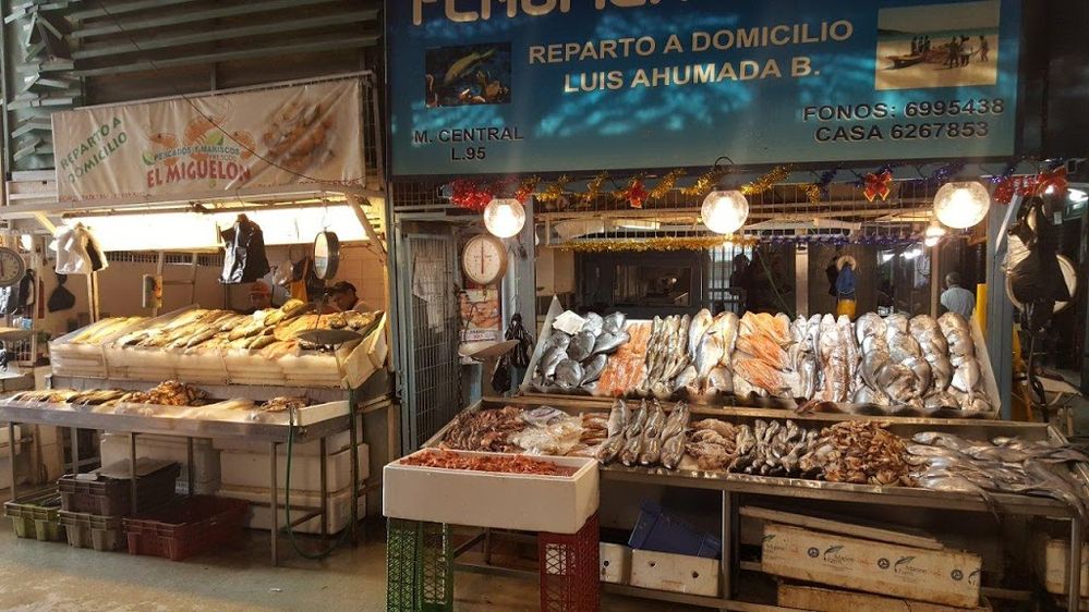Caption: A photo of two stalls filled with fish for sale at Mercado Central de Santiago in Chile. (Local Guide Mauricio Ferreira da Costa)