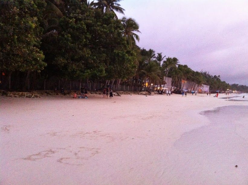 The Shore of Boracay  Island with Coconut Trees