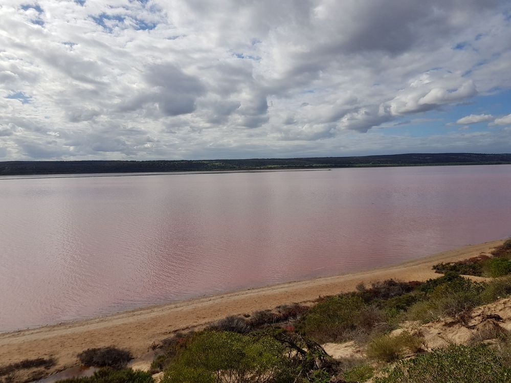 A pink lake
