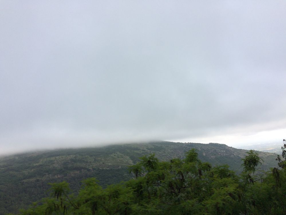 While coming down: watch the clouds touching hills: foggy cloud