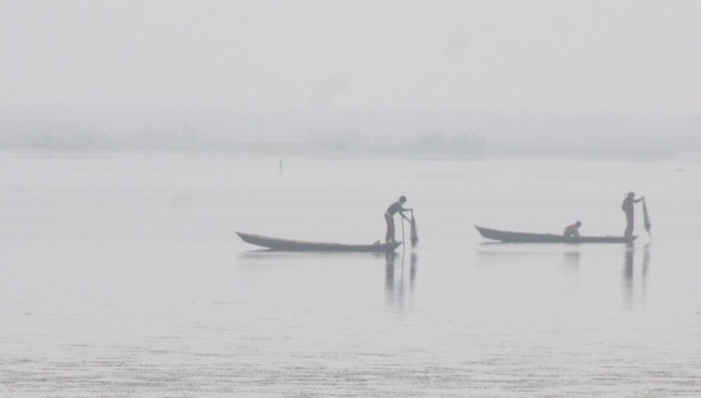 बखिरा पक्षी बिहार में मछली मारता हुआ मछुआरा