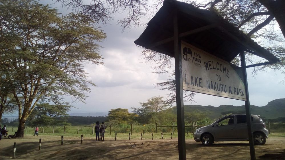 Nakuru National Park; Photo by Isaac_nk