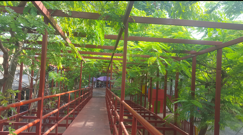 Accessible trail at Freedom Park