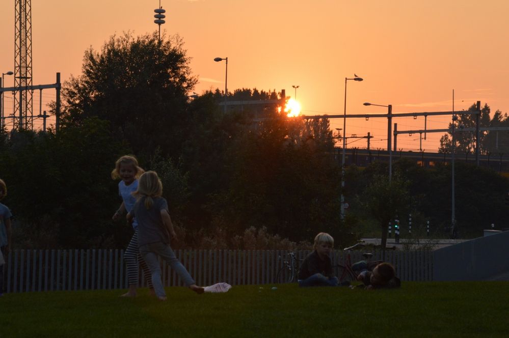 Sunset in Amsterdam Science Park
