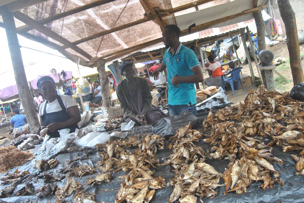 That's me talking to a dried fish seller