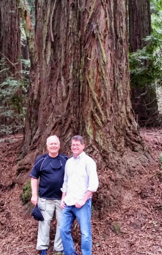 My son & I - Giant Redwood - Redwood Regional Park a few miles east of Oakland, California