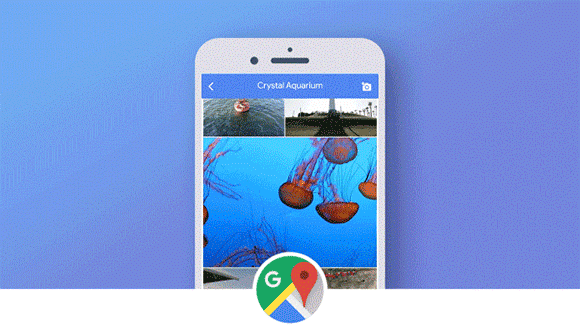 Caption: A graphic of a phone featuring a video of jellyfish on Crystal Aquarium’s Google Maps’ page.