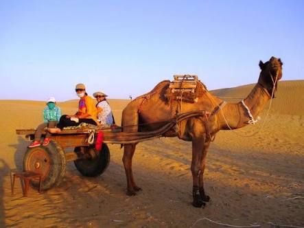Courtesy Google Images, Camel Cart