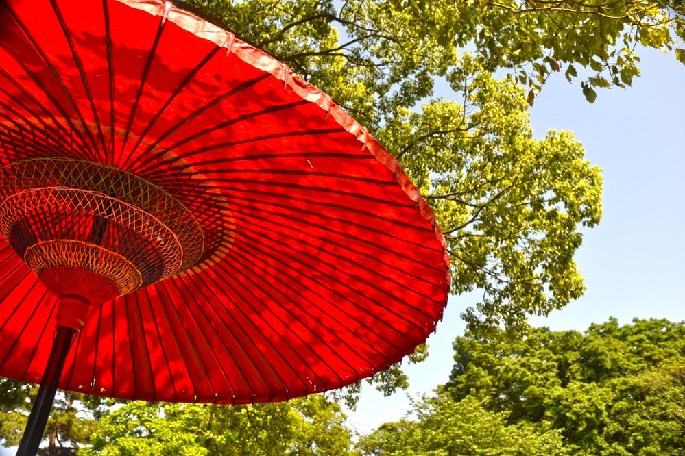 Caption: A photo of a large, open red umbrella surrounded by trees in Yeomtei, a garden in Tokyo, Japan. (Local Guide hideo abe)