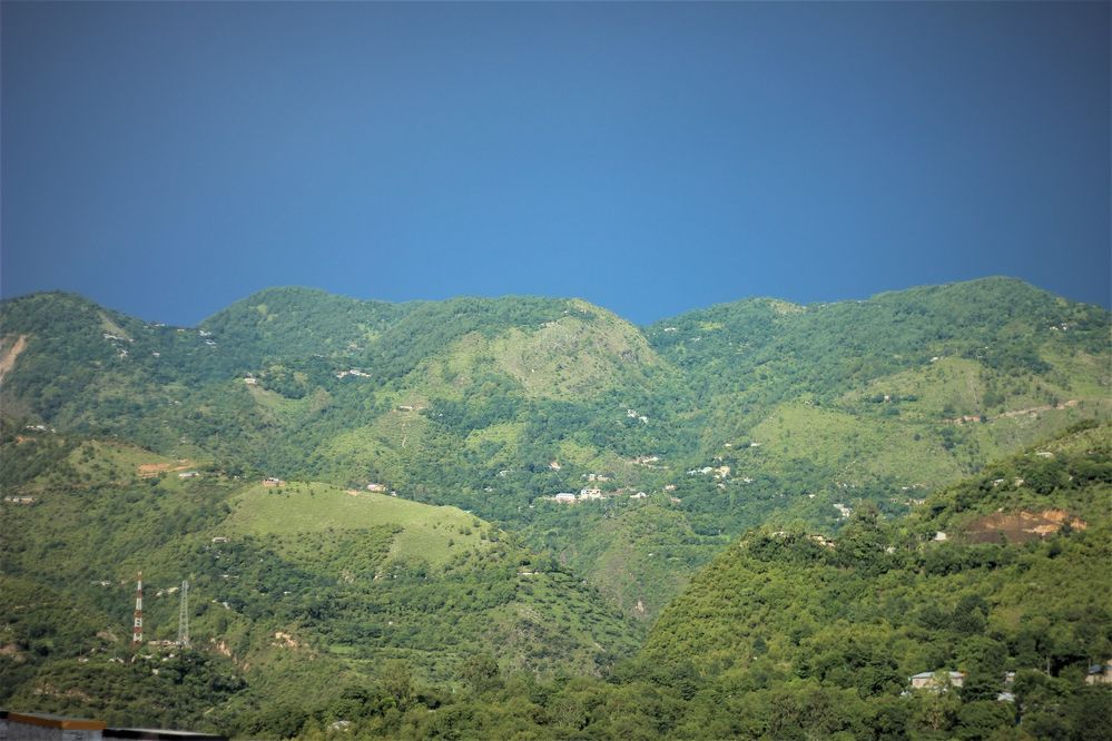 Lush Greenery always exists here.