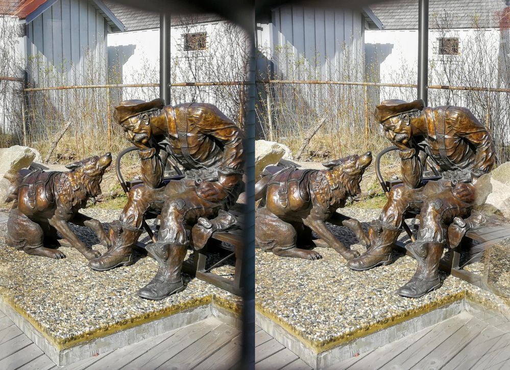 Stampeder Statue by artist Peter Lucchetti, depicting a Klondike goldminer and his faithful canine companion. (Local Guide VincentꙪ)