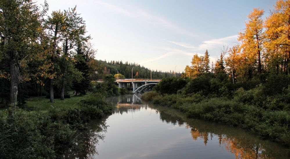 Whitemud Park