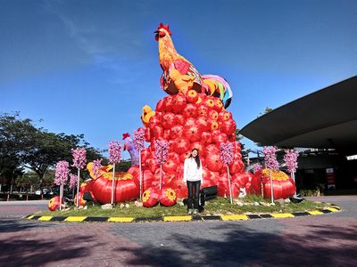 The Legendary Ayam (Chicken) Statue, Sutera Mall, Malaysia