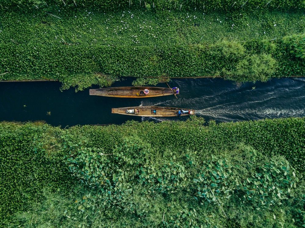 Caption: An aerial view of two boats paddling down Inle Lake in Myanmar surrounded by greenery. (Courtesy of Dimitar Karanikolov)