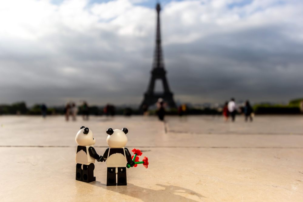 Caption: A photo of two LEGO minifigure pandas holding hands while one holds a bouquet of red flowers in the other hand. The Eiffel Tower can be seen in the background on a cloudy day in Paris, France. (Local Guide Julien Ballester)