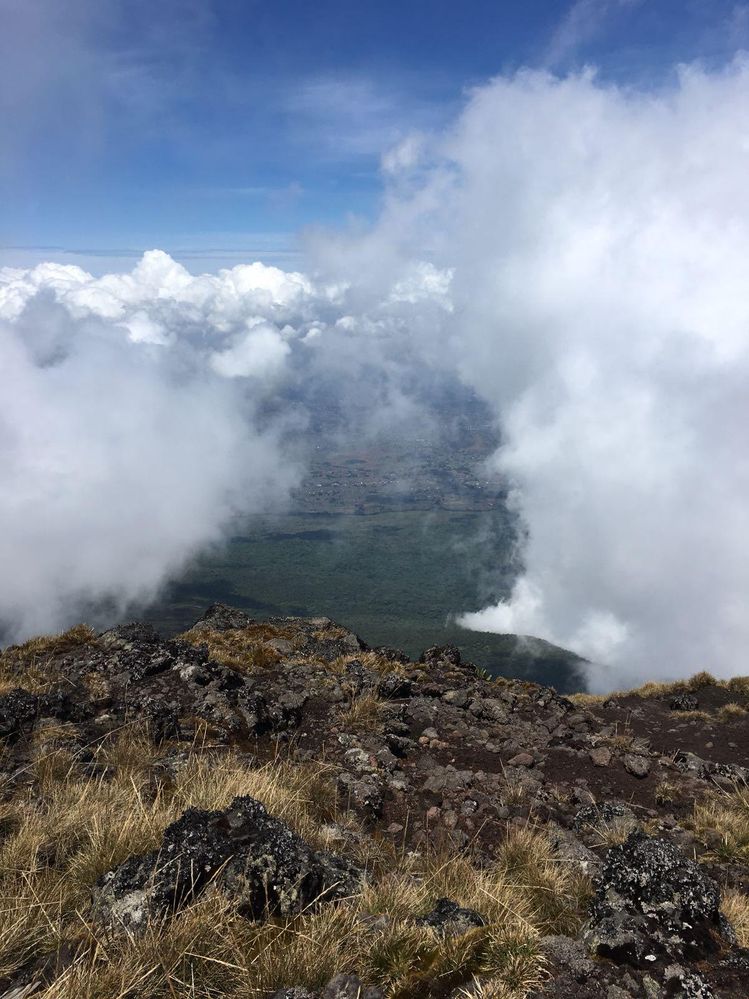 View from Karisimbi Peak
