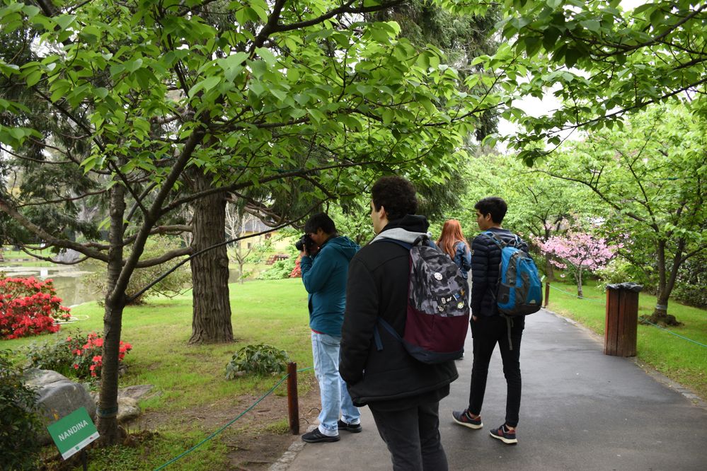 Caption: Walking through the Sakura path while Farid took a photo of a bush of flowers.