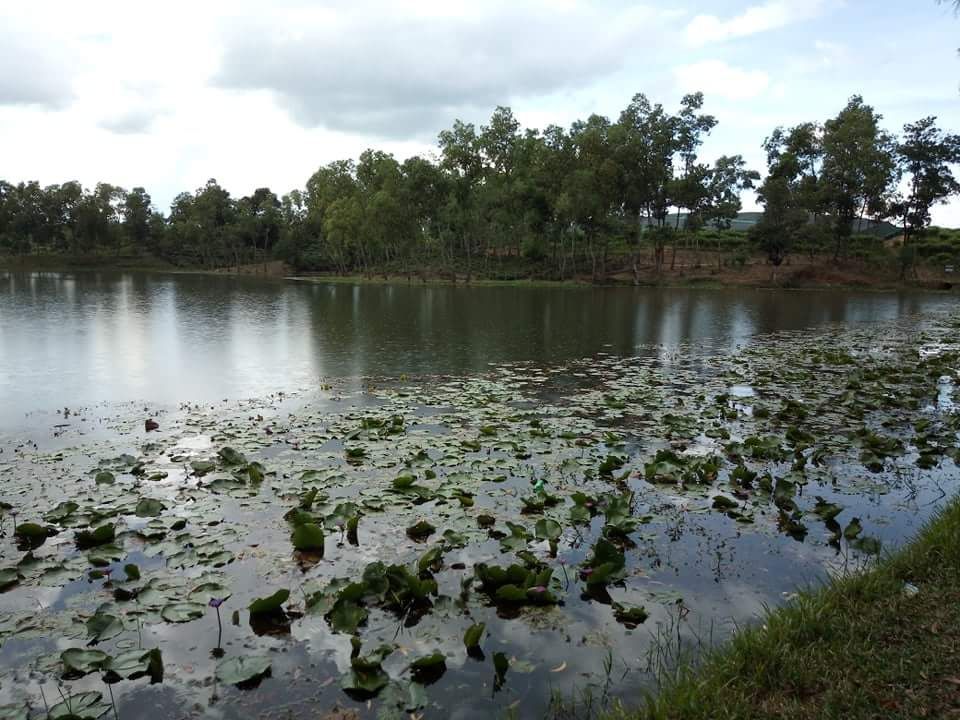 Madhabpur lake