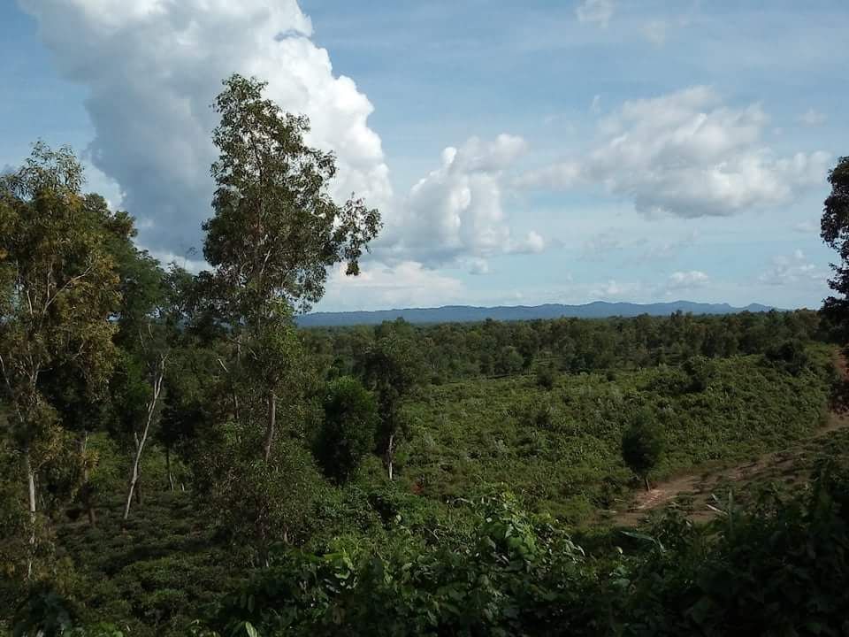 Hill view of National Tea State