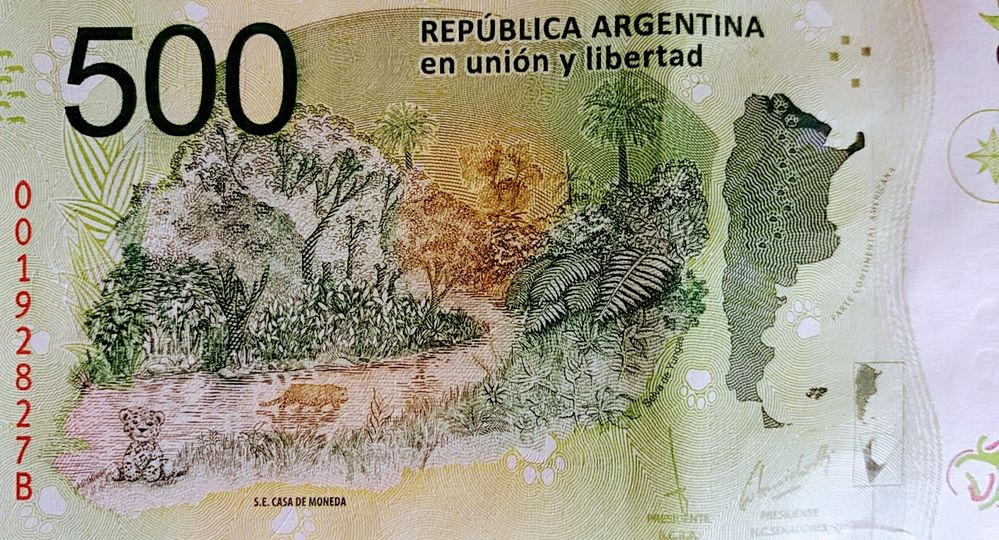 Jungle of the Argentine north