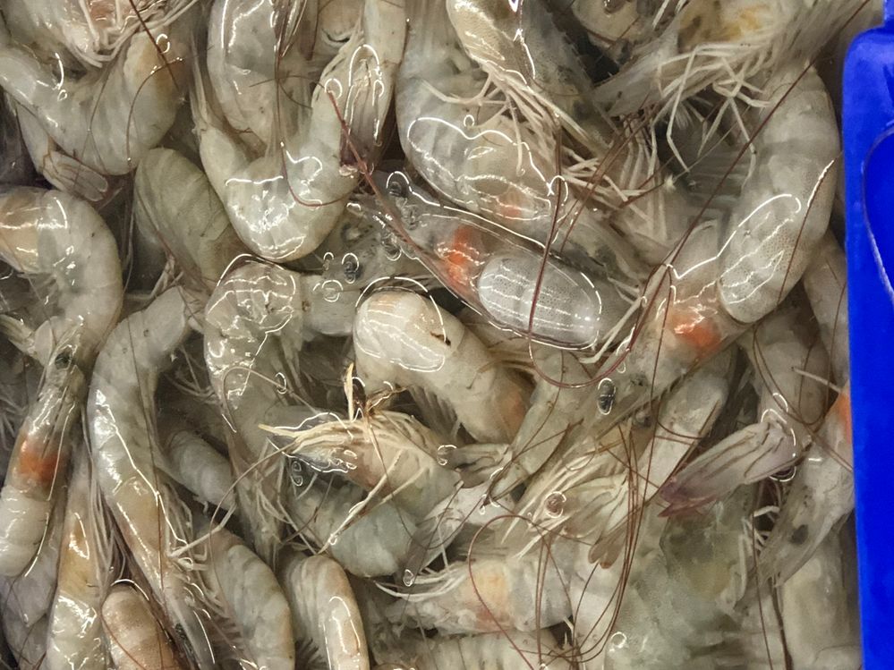 White Shrimp, White Shrimp, White Shrimp, Red Shrimp (White Shrimp) Size / Weight: 120 days, weighing 35-135 grams, depending on the menu. Salted shrimp Fried shrimp with garlic