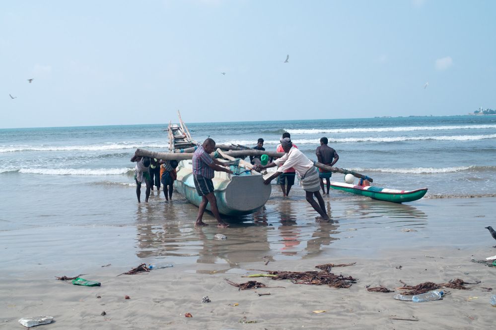 Pulling the boat to the shores after laying the nets