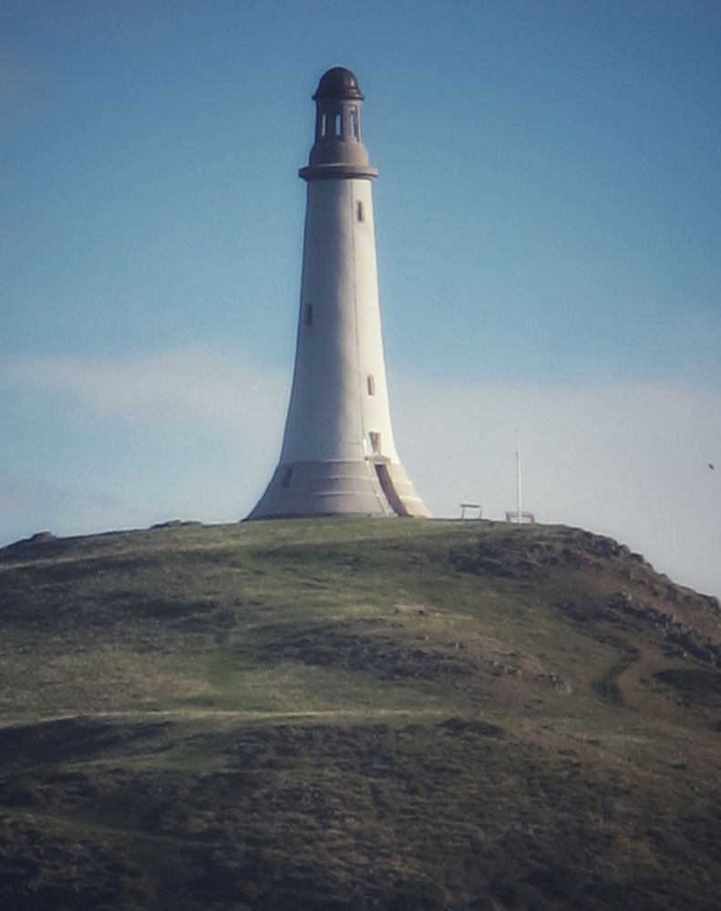 The Hoad