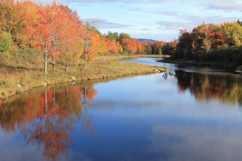 Nice reflections of color