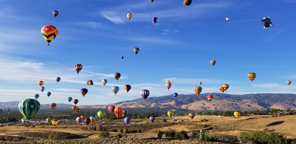 Caption: A photo of a blue sky full of hot air balloons competing in the Great Reno Balloon Race over a large field with mountains in the background. (Local Guide Jacinda Russell)