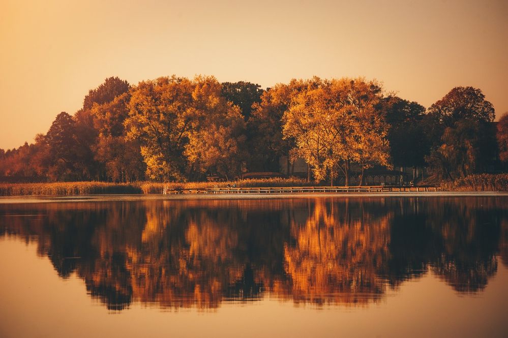 Autumn, Skępe (Poland) 2018