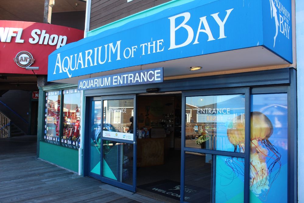 Aquarium of Bay Entrance