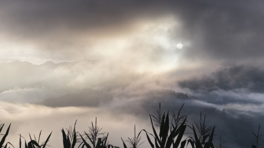 Sunrise, mist and clouds in the mountains of Chiang Rai Province