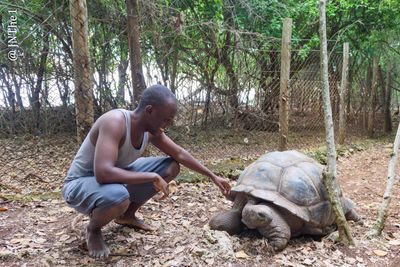 With giant tortoise, Changuu Island, Zanzibar, Tanzania.